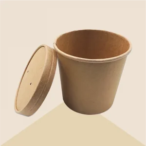 Kraft-Noodle-Disposable-Cup-1